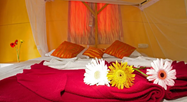 Номер Deluxe с видом на сад Cuba Patnem Bungalows