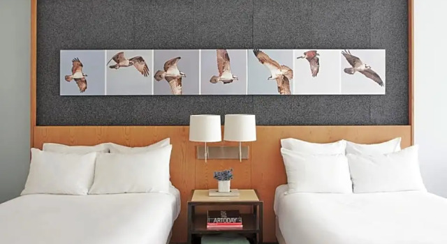 Номер Deluxe 21c Museum Hotel Louisville