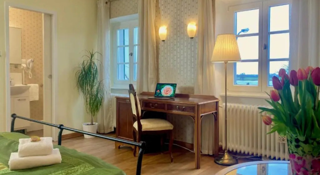 Двухместный номер Standard Rhein River Guesthouse - direkt am Rhein