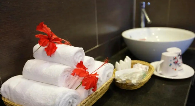 Семейный номер Standard Green Tea Villa