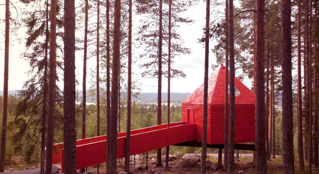 Номер Standard Treehotel