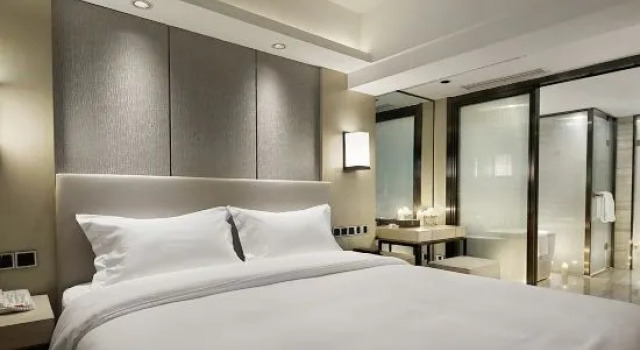 Люкс Business Oriental Ginza International Hotel