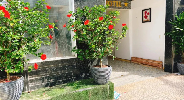 GreenHome Hotel