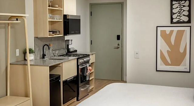 Двухместный Alpine Suite Forest Park Hotel