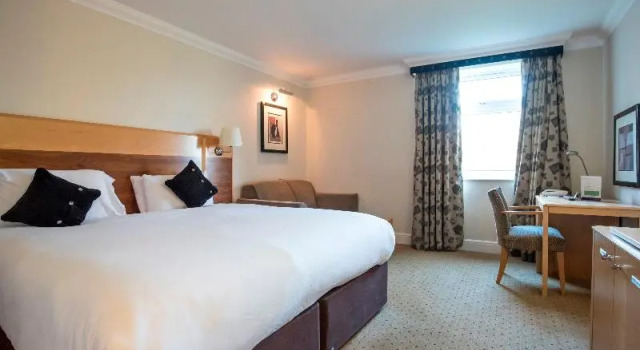 Четырёхместный номер Standard Apollo Hotel