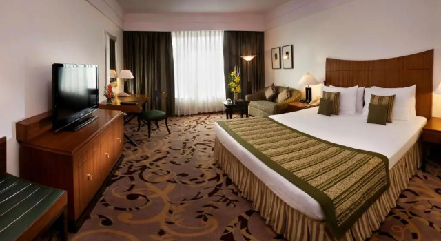 Двухместный номер Deluxe Radisson Blu MBD Hotel Noida