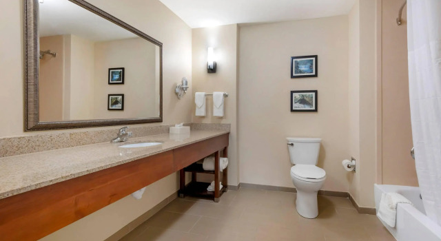 Двухместный люкс Comfort Suites Elizabethtown