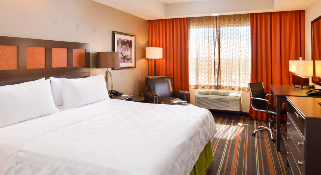 Holiday Inn Amarillo West Medical Center by IHG