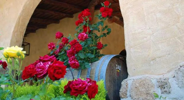 Raco del Tosca, Book Hotel Beceite Matarranya