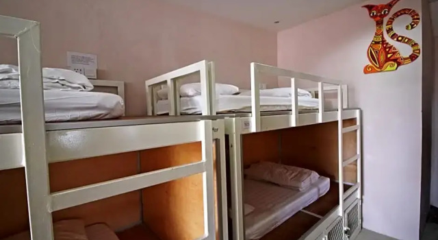 Кровать в общем номере (женский номер) Tubotel