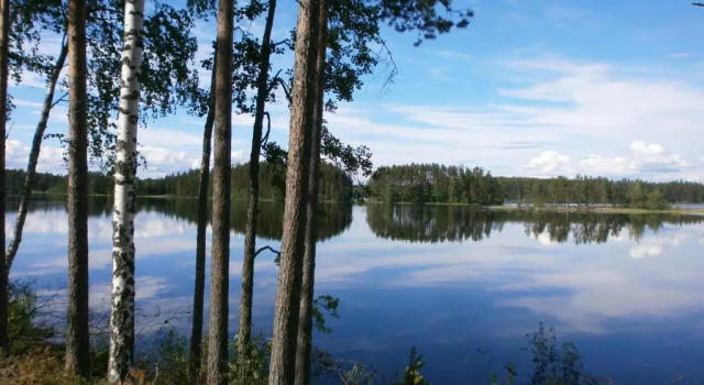 Вилла Tallusniemi Villas