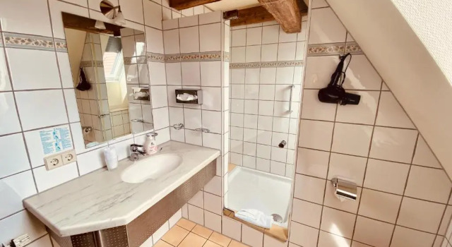 Одноместный номер Standard Stadthotel Waldhorn