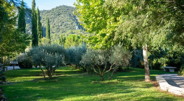 Люкс Le Champ des Oliviers