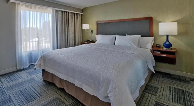 Номер Standard Hampton Inn & Suites Las Cruces I-10