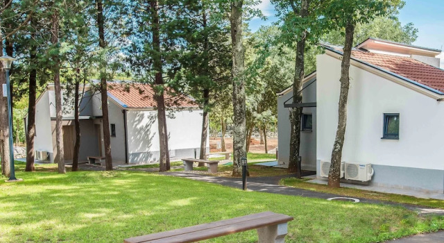 Люкс Deluxe FoRest Village Resort