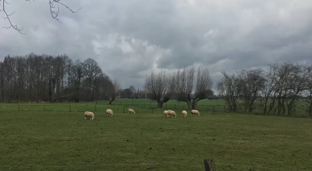 Коттедж Farmhouse in Zelhem with Sauna Retreat