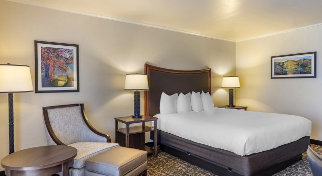 Best Western Plus Royal Oak Hotel