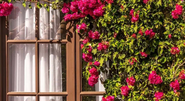 Полулюкс El Jardin De Su Merced B&B