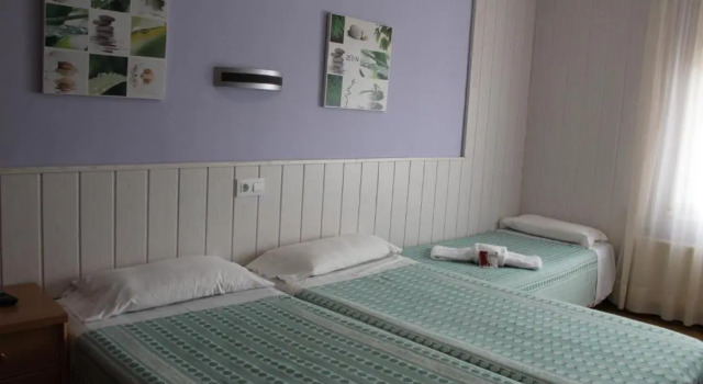 Трёхместный номер Standard Hostal Fabrellas