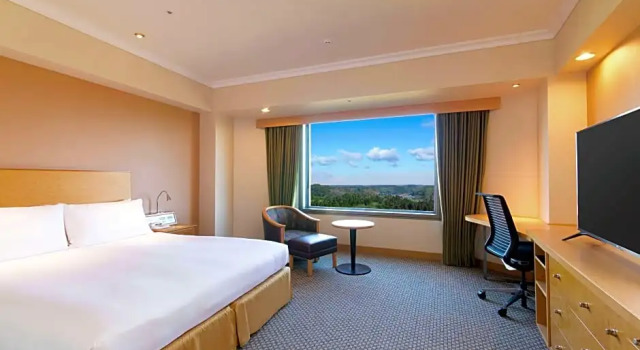 Двухместный High Floor номер Deluxe с видом на аэропорт Hilton Tokyo Narita Airport