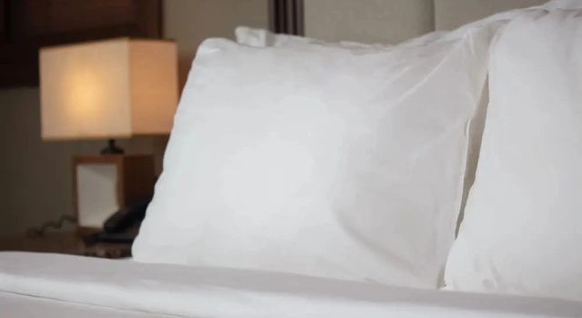 Студия EBINO PULUONG RESORT and SPA