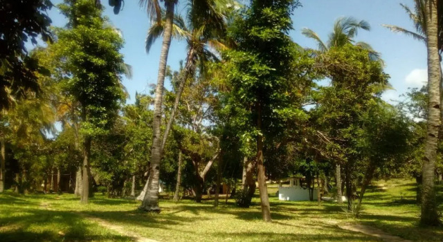 Номер Economy Turtle Cove Lodge and Yoga Shala