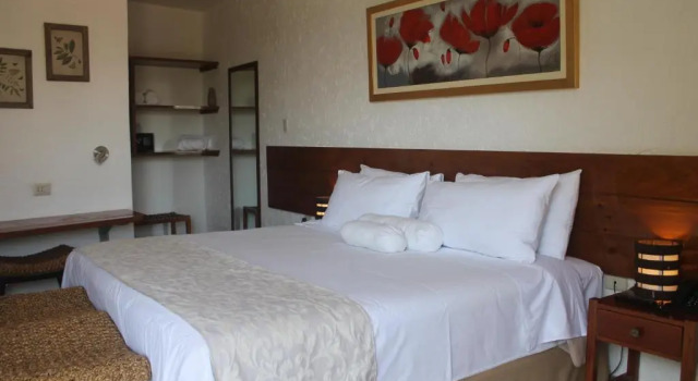 Люкс Hotel y Restaurante El Molino