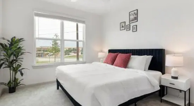 Large & Lively Apt, Prenota Hotel San Marcos Texas Hill Country