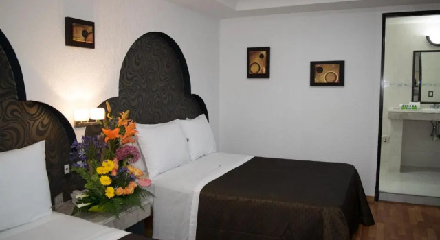 Двухместный номер Standard Hotel Santiago