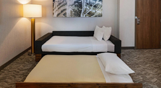 Двухместный люкс SpringHill Suites by Marriott Dallas Richardson/University Area
