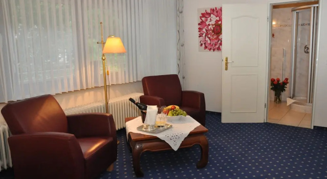 Одноместный номер Standard Hotel Garni Kristinenhof