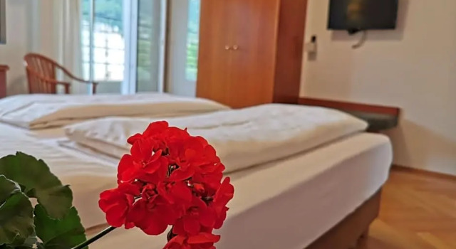 Номер Standard Hotel Adria