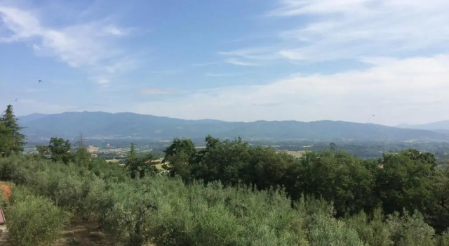 Апартаменты La casina del Poggio