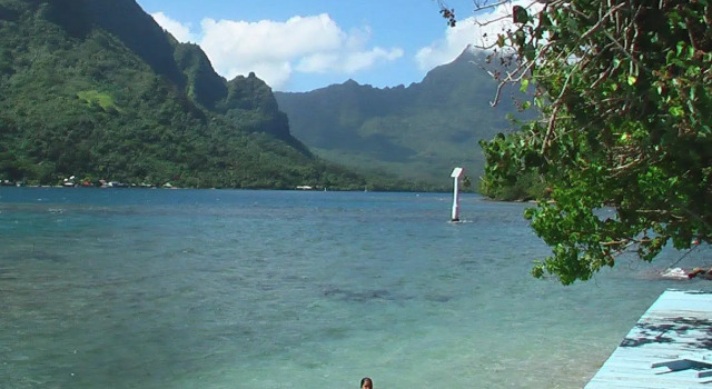 Les Tipaniers Iti Bungalows, Book Hotel Papetoai Moorea