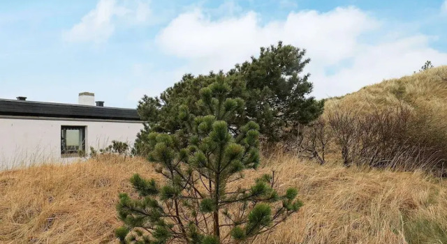 Secluded Dune Cottage-by Traum