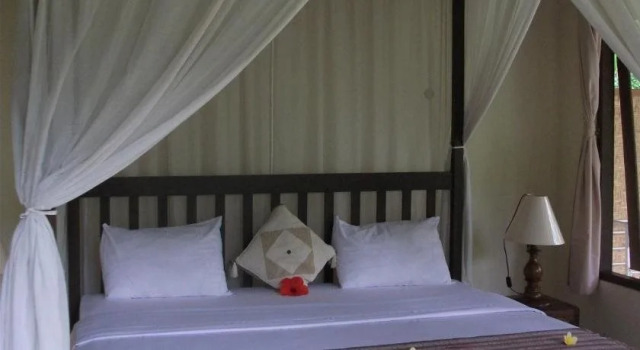 [Deact] Coco Alami Guest House