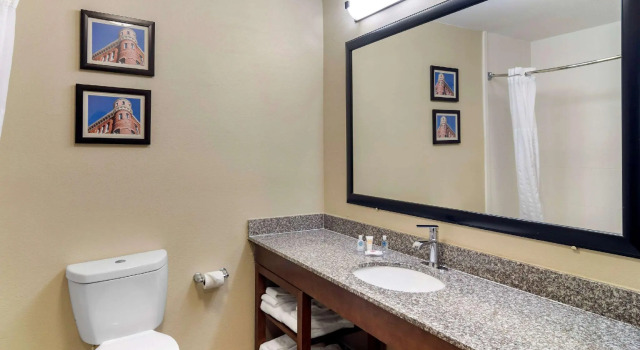 Двухместный номер Standard Comfort Inn & Suites Macon North I-75
