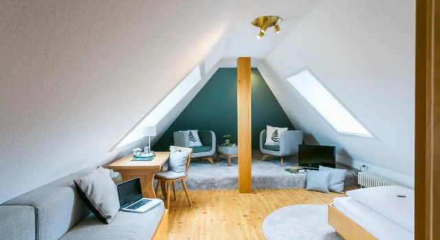Одноместный номер Standard Мансарда Hotel Sonne Garni