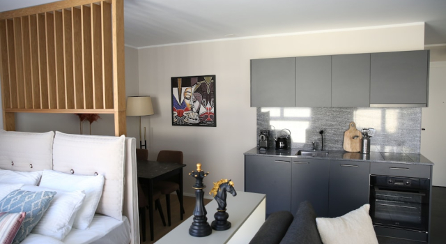 Люкс Deluxe Lamira Serviced Apartments Zurich City