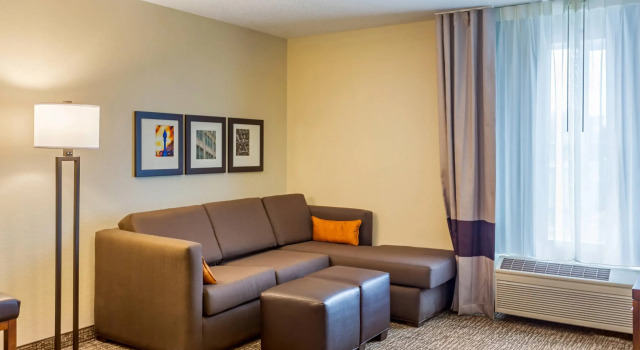 Четырёхместный люкс Comfort Inn DeKalb - University Area