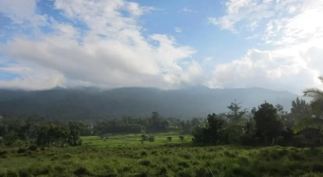 Bugis Inn, Book Hotel Hoteller i Bukit Lawang med parkering, Parkering