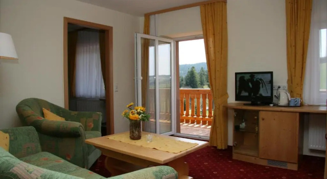 Двухместный номер Standard с балконом Landhotel Sonne Neuhäusle