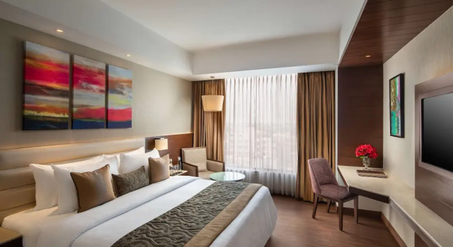 Люкс Nirvana Sarovar Portico Gorakhpur