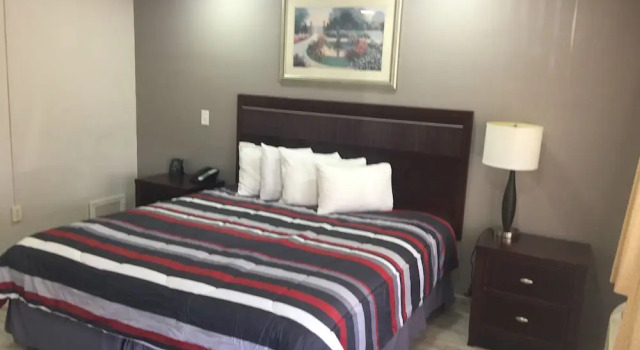 Номер Classic Flamingo Inn