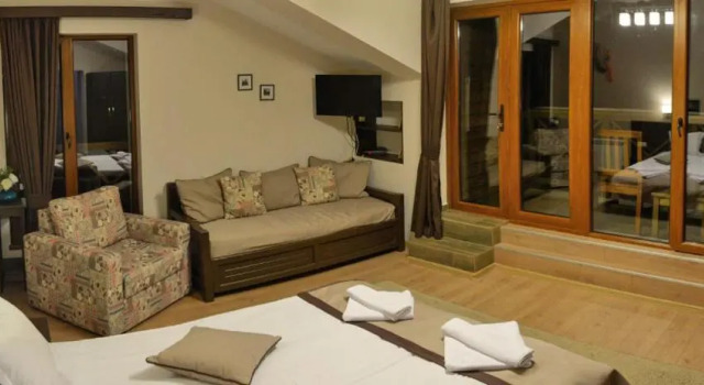 Студия с балконом Family Hotel Balkanci