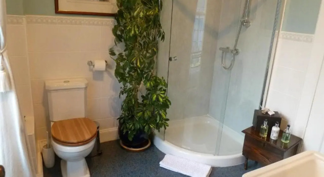 Номер Superior Burnside Guest House