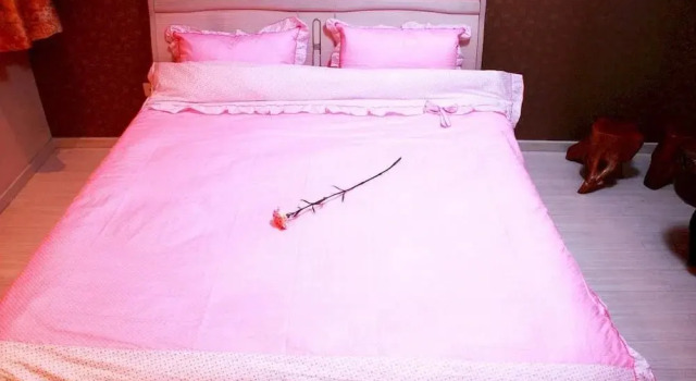 Express Inn, Book Hotel Shahekou District 