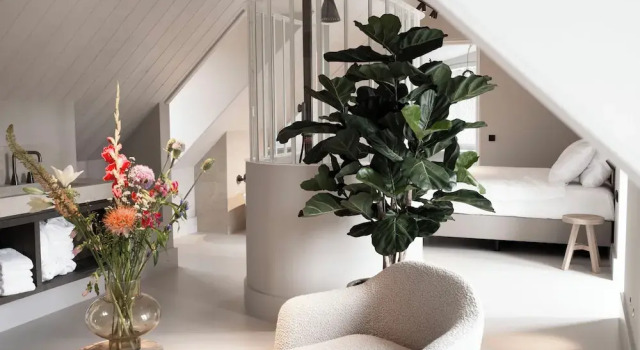 Четырёхместный номер Standard Hotel Abdij Dokkum