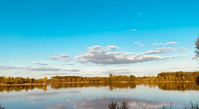 Апартаменты Kleine Pfalz-Perle Birkenweg