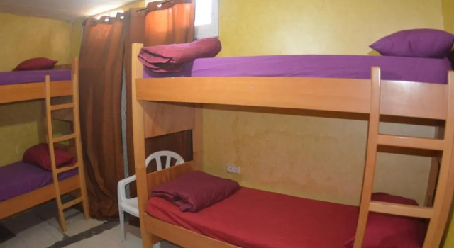 Кровать в общем номере New Palm Hotel & Hostel